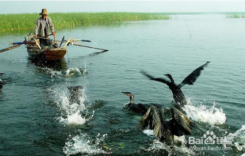 ����������ڰ��»������� ��һ�ǰ������ʲô����ĵط�