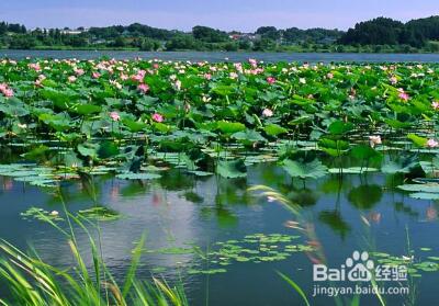 ����������ڰ��»������� ��һ�ǰ������ʲô����ĵط�