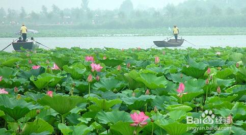 ����������ڰ��»������� ��һ�ǰ������ʲô����ĵط�