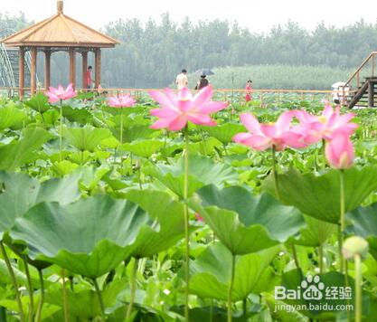 ����������ڰ��»������� ��һ�ǰ������ʲô����ĵط�