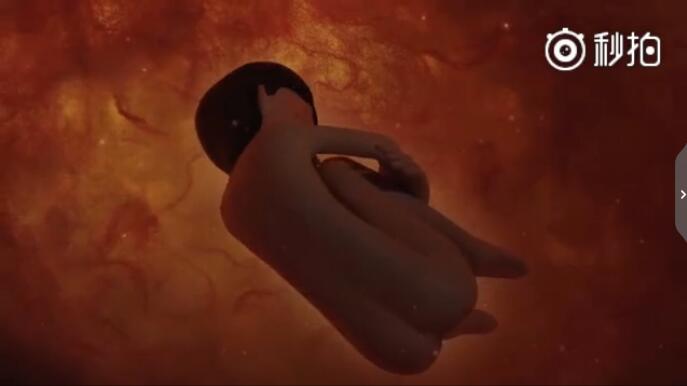 �����Ӥ����Ϊ��������Щ Ϊʲô���־�Ӥ����