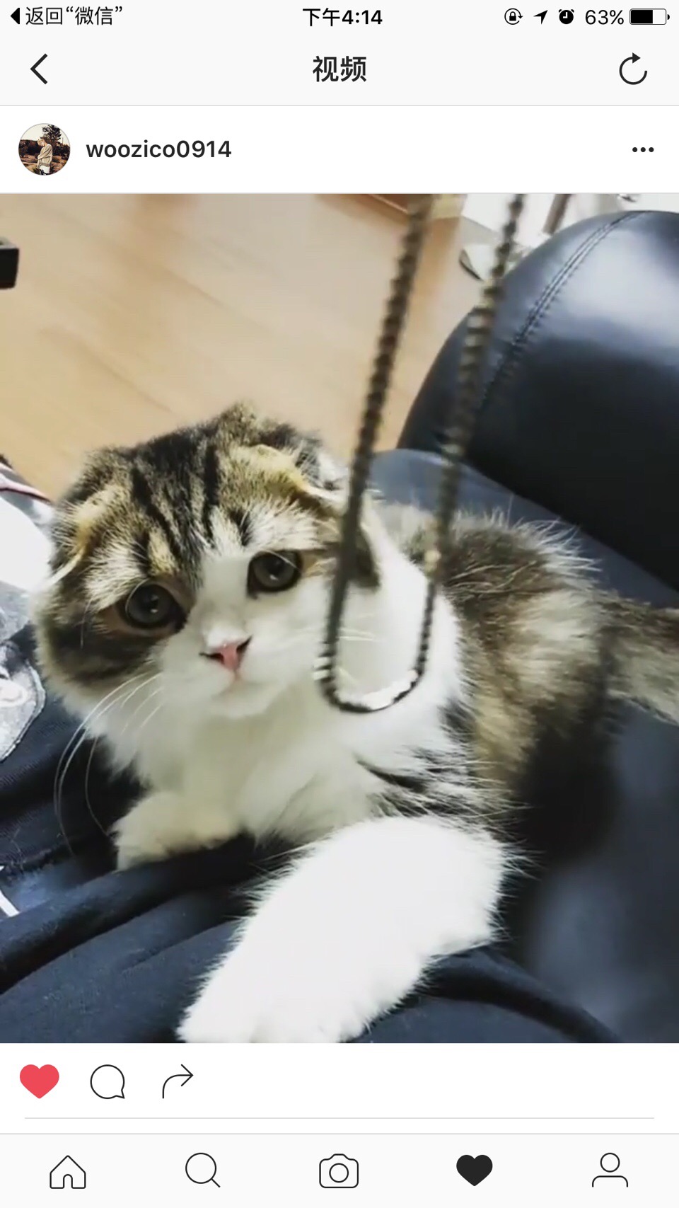 ��̩��������ins�¼���ʲô ��̩��ϲ��������