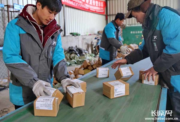 ��ݹ�˾�ּ�Ա�۲��� ˫11���Ա������ô��