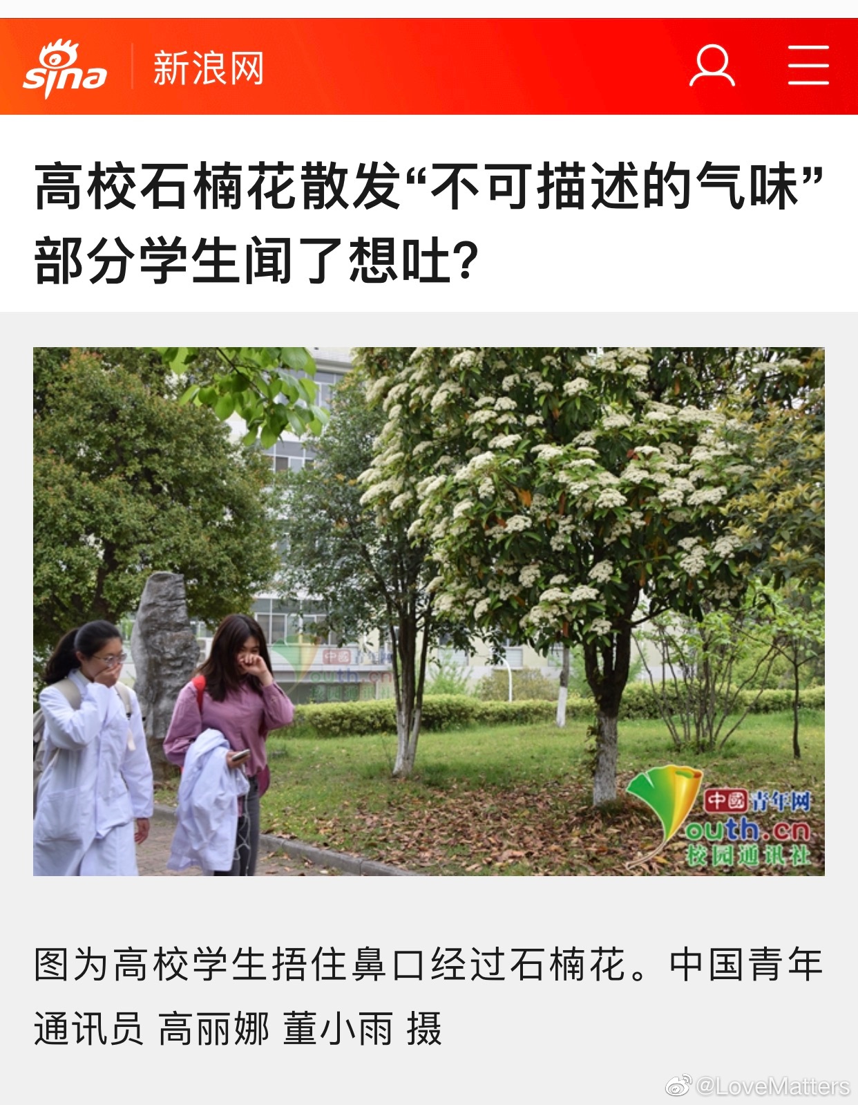 ʯ骻�������ʲôζ�� �Ϻ�����ʯ骻���ʲô��