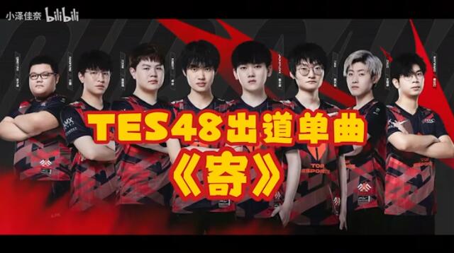 TES48ʲô��˼ TES48ʲô��