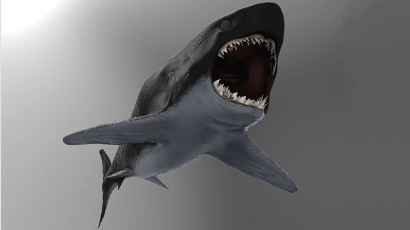 �޳������ڻ����� ���������ʲô����������Ӯ�˾޳�����