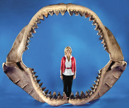 �޳������ڻ����� ���������ʲô����������Ӯ�˾޳�����