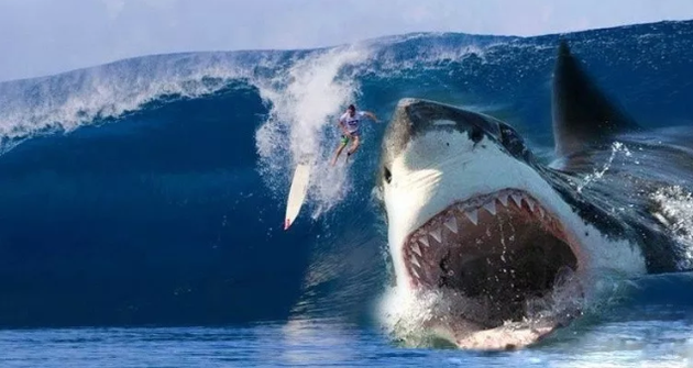 �޳������ڻ����� ���������ʲô����������Ӯ�˾޳�����