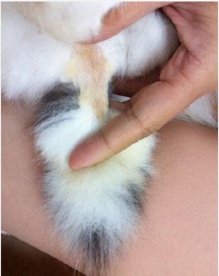 ����β�ͺܳ� ������β�ͻ���ô��