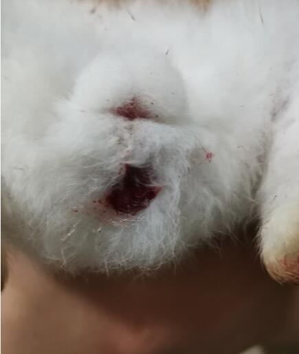 ����β�ͺܳ� ������β�ͻ���ô��