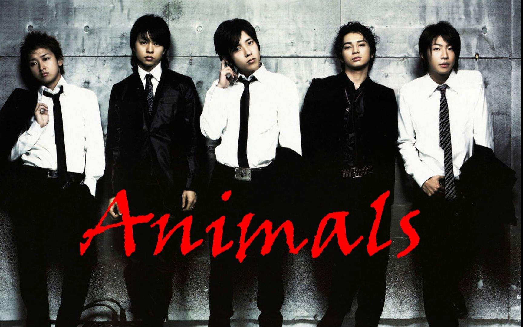 �ɱ��������������ô���� ����С��Ѯ��ϵ����˭������