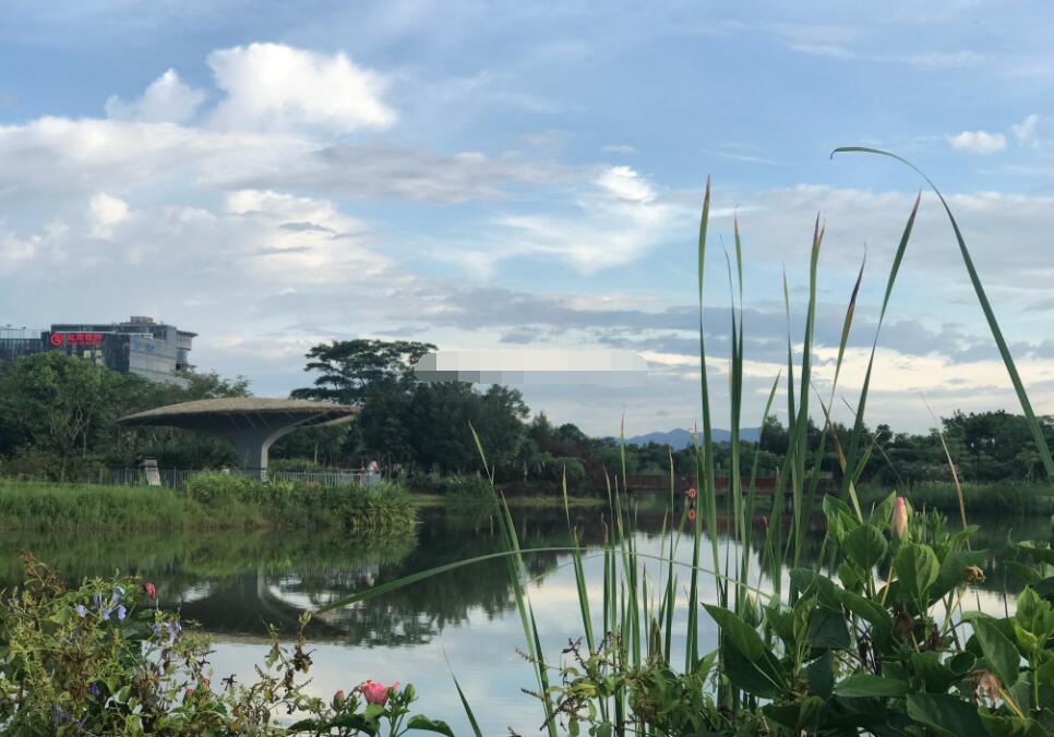 ��������Ǻ������� ��������ʲô�����