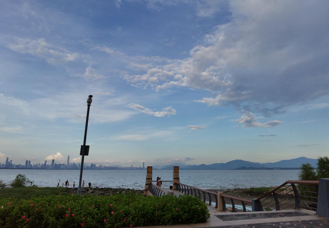 深圳湾就是红树林吗 深圳湾有什么好玩的