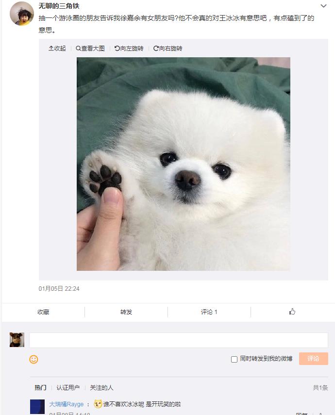 ������������������� ���˲ɷ���Ƶ����