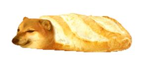 �㳦����ʲô�� �㳦�������