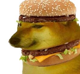 �㳦����ʲô�� �㳦�������