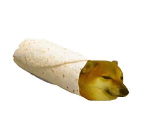 �㳦����ʲô�� �㳦�������