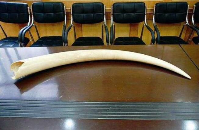 ��������Υ��Ʒ�� ������������������Щ