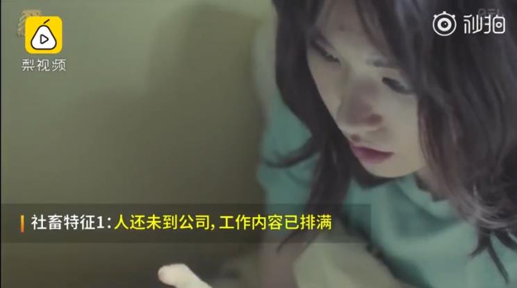 ������ʲô��˼�������� ��Щ������������û����������