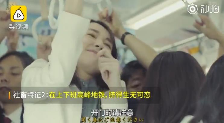 ������ʲô��˼�������� ��Щ������������û����������