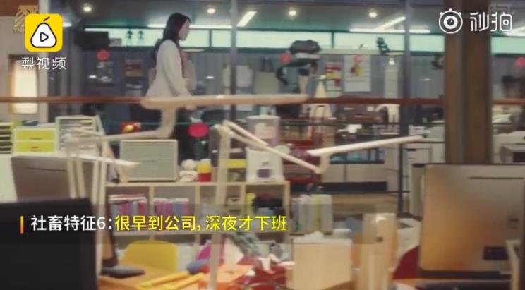 ������ʲô��˼�������� ��Щ������������û����������