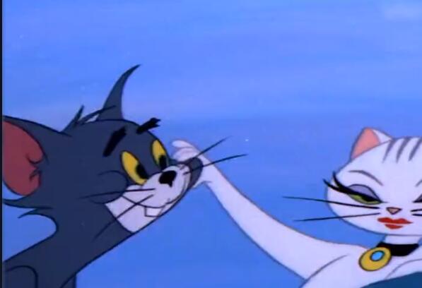 ����tom����ʲô��˼ ���Ѳ�tom��ʲô��˼