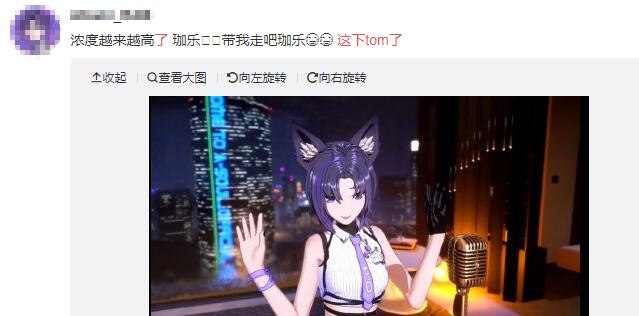 ����tom����ʲô��˼ ���Ѳ�tom��ʲô��˼