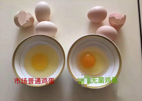 �޾�������ͨ������ʲô���� �޾�����ʲô����