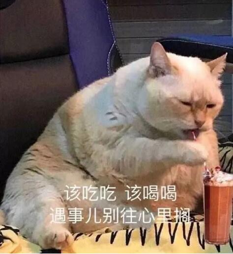 ������ʲô��˼ ������ʲô��