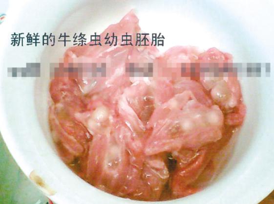 牛带绦虫图片 怎么判断得了牛带绦虫 怎么可以杀死