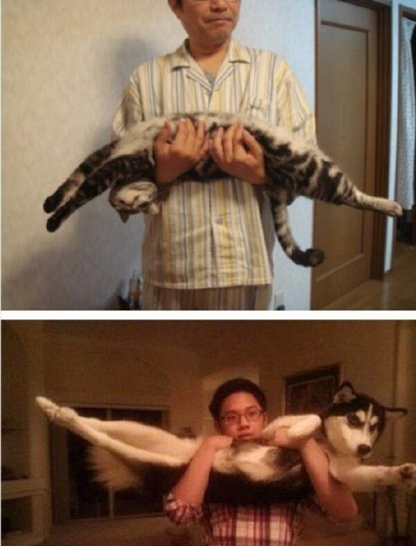 ����������ȷ����˳�� ������120������Ҫ�������