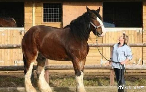 �Ķ����ܵÿ첻�� �����Ķ�������Ǯһƥ