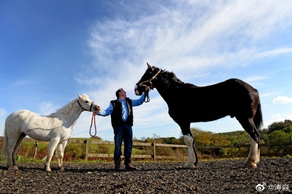 �Ķ����ܵÿ첻�� �����Ķ�������Ǯһƥ