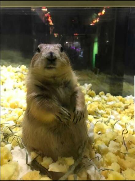 ��������Ե������� ������Ϊʲô������