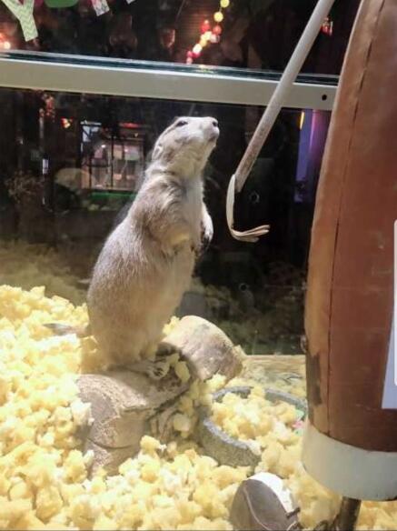 ��������Ե������� ������Ϊʲô������