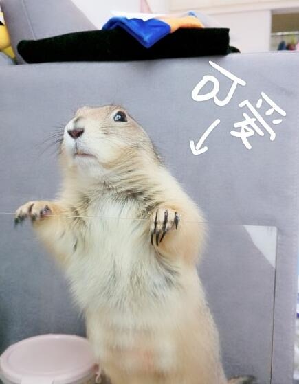 ��������Ե������� ������Ϊʲô������