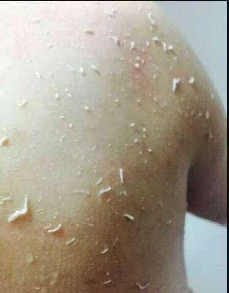 �������ϴ����������ͨ����ʲô ������������к�����