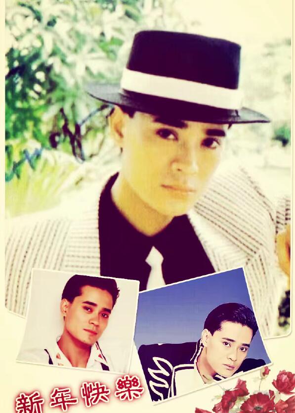 陈汝佳为什么身体虚弱英年早逝 陈汝佳和毛宁谁更厉害