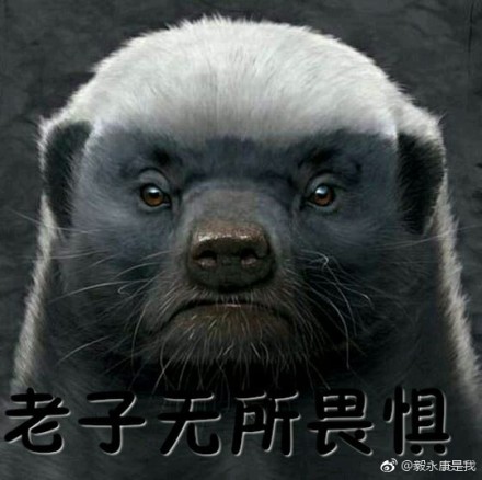 ���Ϊʲô�������� ���������Ϊʲôʲô������