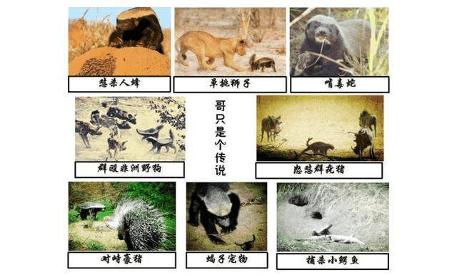 ���Ϊʲô�������� ���������Ϊʲôʲô������