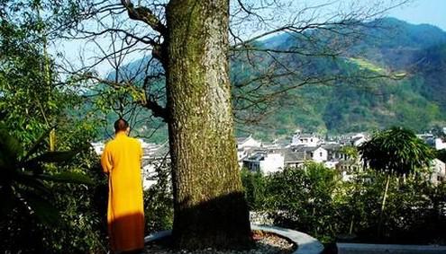 ��������Һ����Ƭ ģ�ذ�������ҵ�ԭ�����