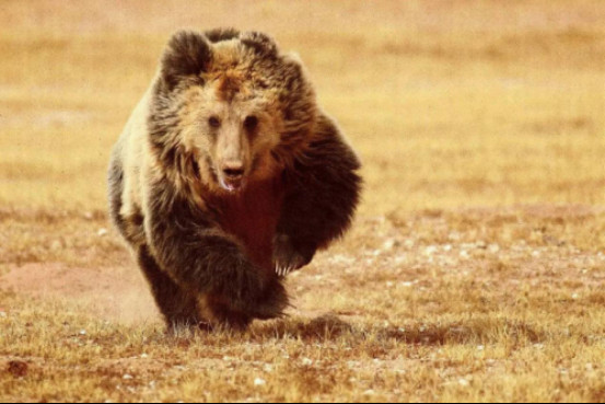 Ǽ���������ܿ����� ��Ǽ����������Խʾ��ͼ