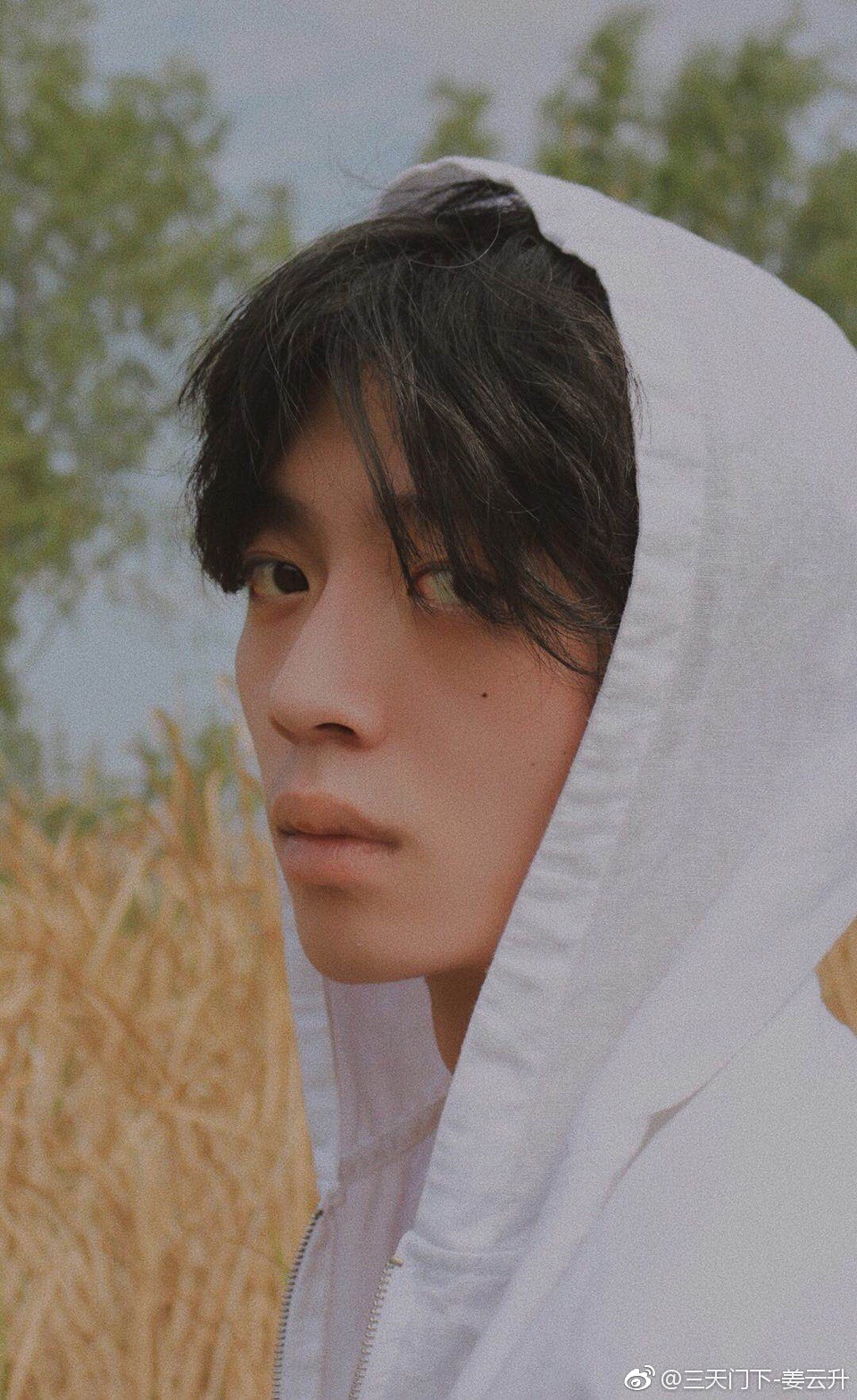 ������Ϊʲôdiss���� ������Ϊʲô�ǵ�ʿ