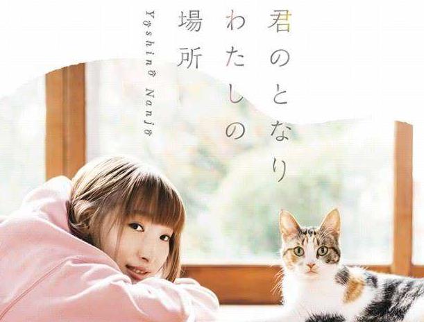 ����������˭ ��Ϊʲô������