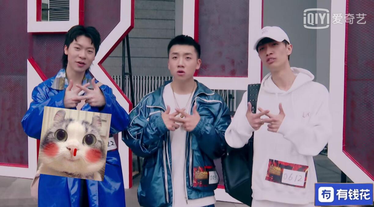 ˵�����ֵ�����ʲô��˼ ���ܼ��ֳ����Ķ�������