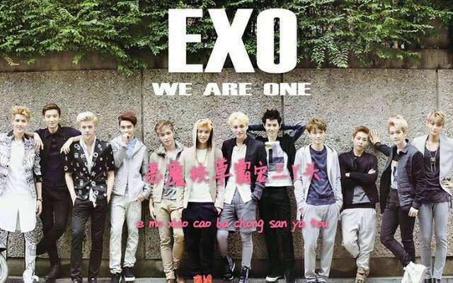 exoΪʲô�е��������� exo���˽в走������