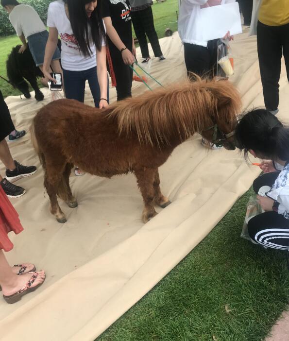 �������ǻ���٪�岡������ ��������ʲôʳ��