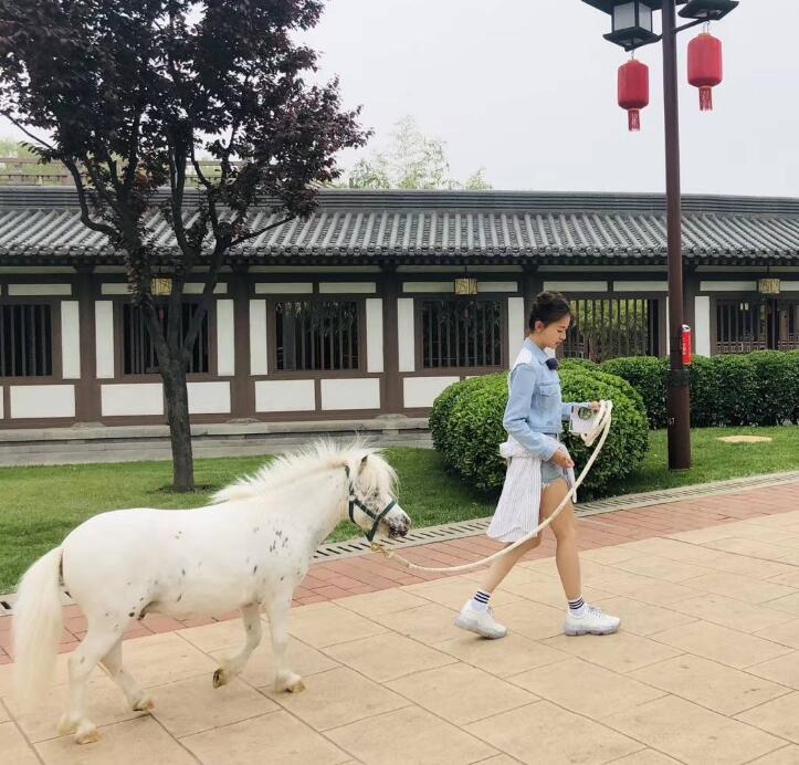 �������ǻ���٪�岡������ ��������ʲôʳ��