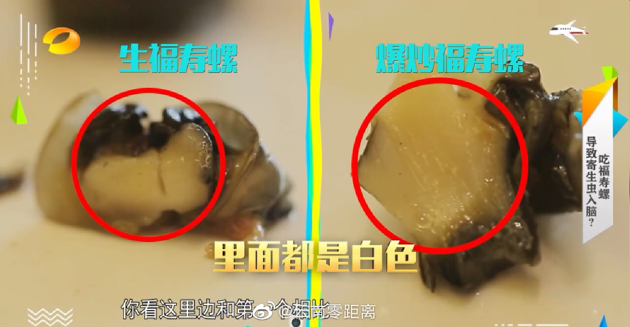 福寿螺寄生虫很多不能吃吗 它名字为什么叫“福寿”