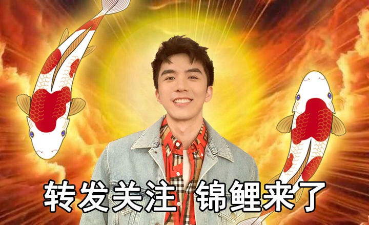 ����Ϊʲô�������� �������������